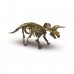 Recherche ton tricératops - explore  Ses Creative    007000